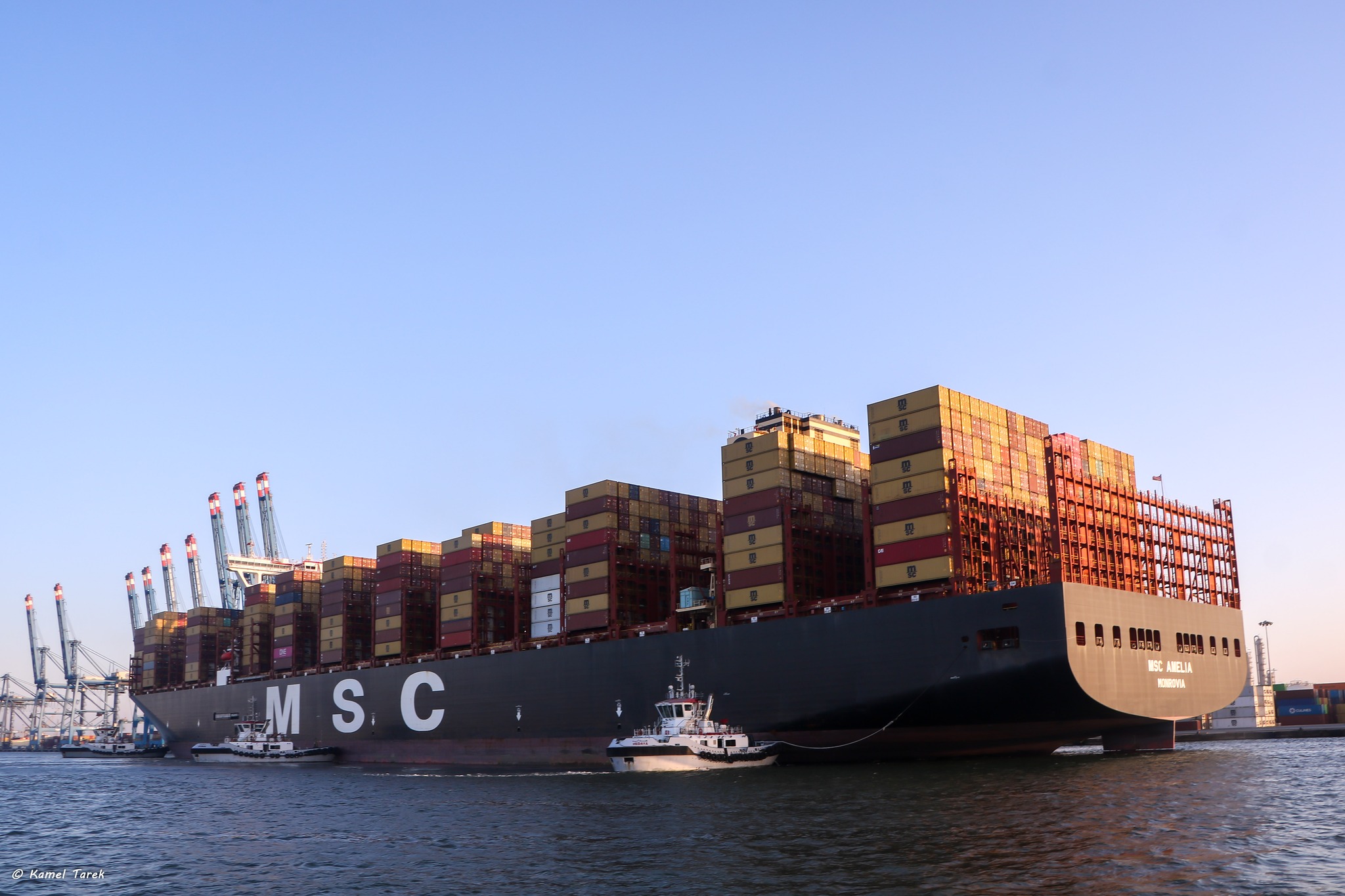 تُعد أطول سفينة ترتاد الميناء.. «دمياط» يستقبل ناقلة الحاويات العملاقة "MSC AMELIA"